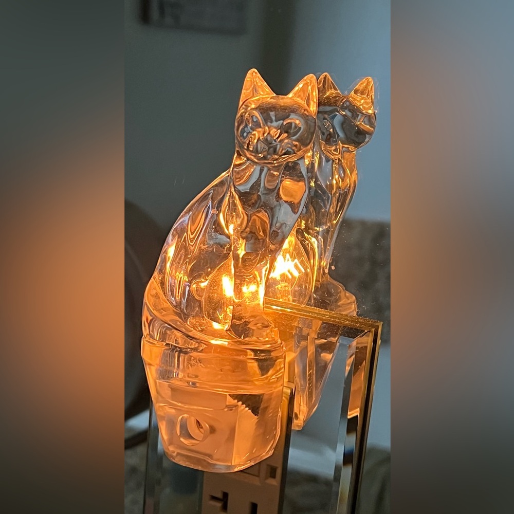 Vintage acrylic clear cat night light - Picture 4 of 5